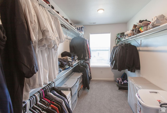 1719 N Pintail Dr Unit 60, Salem, UT 84653 - spacious closet with visible vents and carpet flooring