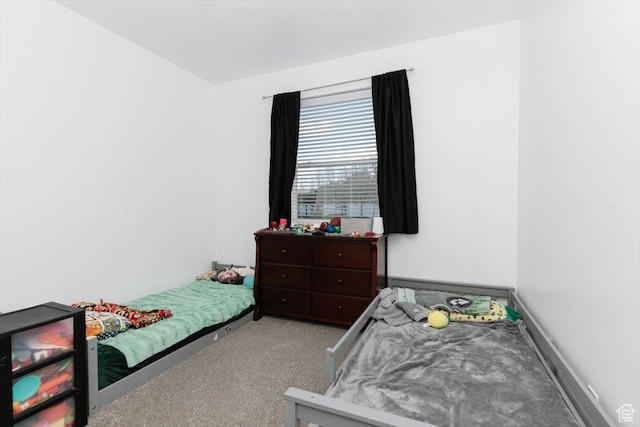 2763 E Read Ln, Preston, ID 83263 - bedroom with carpet flooring