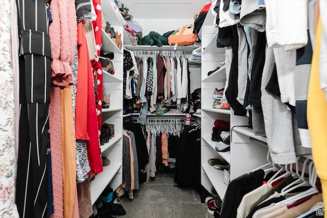 2763 E Read Ln, Preston, ID 83263 - spacious closet with carpet
