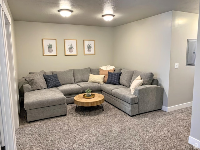 150 W Seasons Ln Unit 4, Garden City, UT 84028 - carpeted living area with baseboards and electric panel