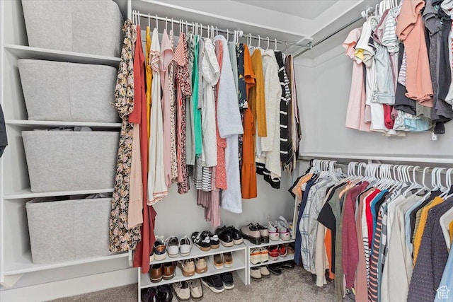 4941 W Chrome Rd, Herriman, UT 84096 - view of spacious closet