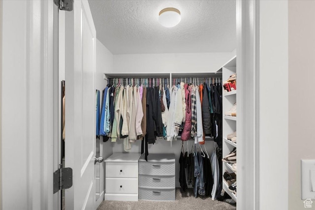 walk in closet with carpet
