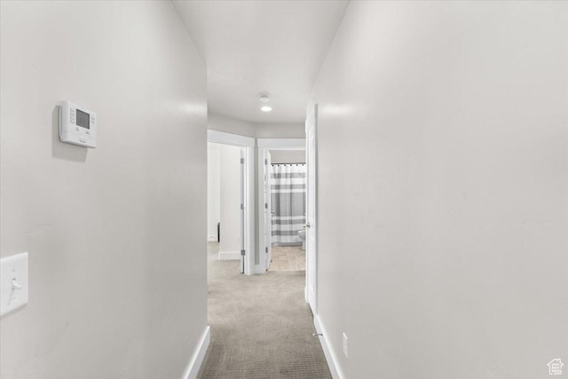 hall featuring baseboards and carpet flooring