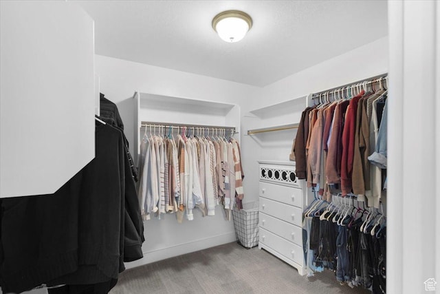 walk in closet featuring carpet flooring