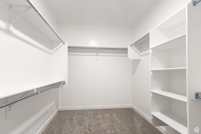 3080 N 2875 W Unit 25, Plain City, UT 84404 - walk in closet featuring carpet flooring