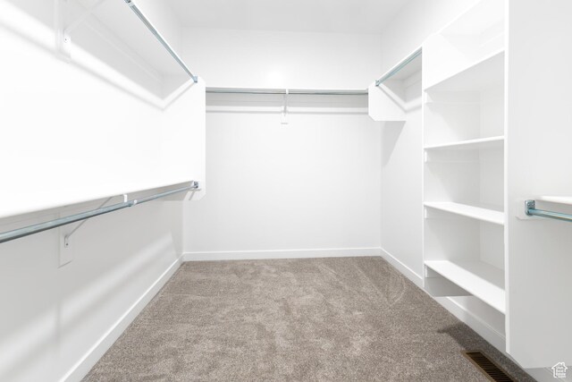 3080 N 2875 W Unit 25, Plain City, UT 84404 - spacious closet featuring visible vents and carpet