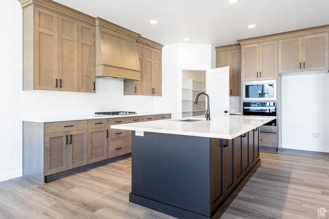 3080 N 2875 W Unit 25, Plain City, UT 84404 - kitchen with light wood-style floors, appliances with stainless steel finishes, custom exhaust hood, and a sink