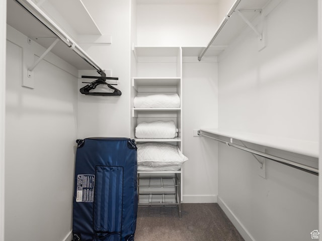 452 S Wood Stream Rd, American Fork, UT 84003 - walk in closet with carpet flooring