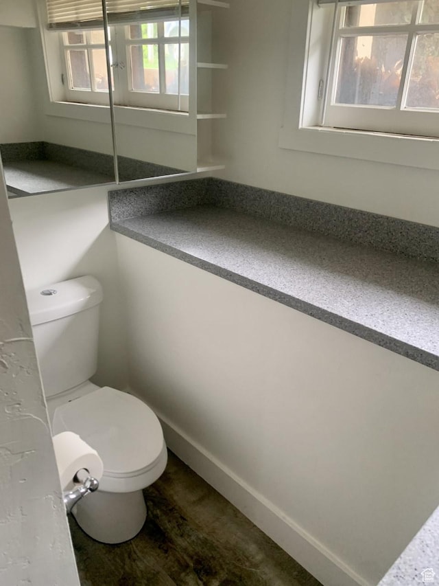 bathroom with toilet and wood finished floors