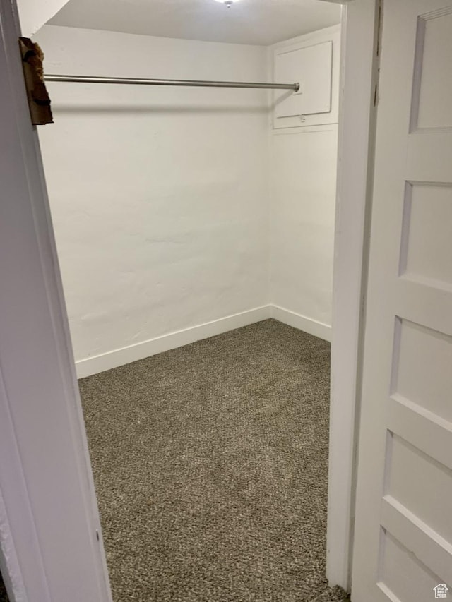 walk in closet featuring dark carpet