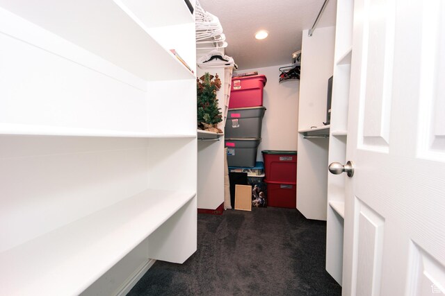 3611 W 850 S, Syracuse, UT 84075 - spacious closet with carpet flooring