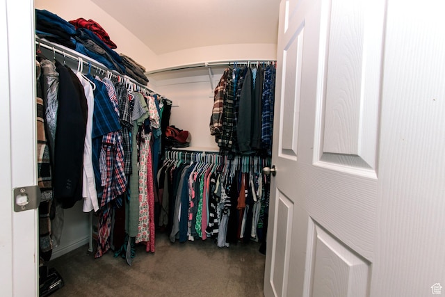 3611 W 850 S, Syracuse, UT 84075 - spacious closet with carpet