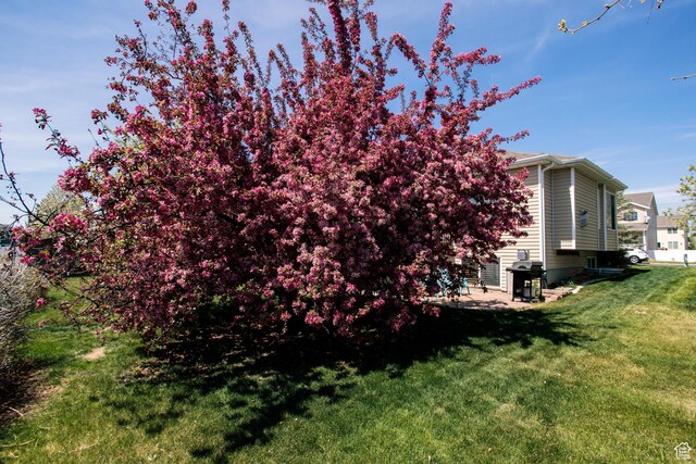 3611 W 850 S, Syracuse, UT 84075 - view of side of property with a yard