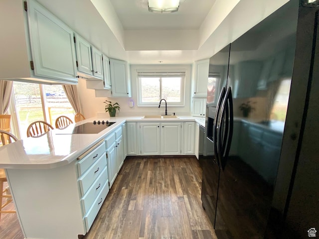 155 W 350 S, Glenwood, UT 84730 - kitchen featuring light countertops, a raised ceiling, a sink, black appliances, and a peninsula