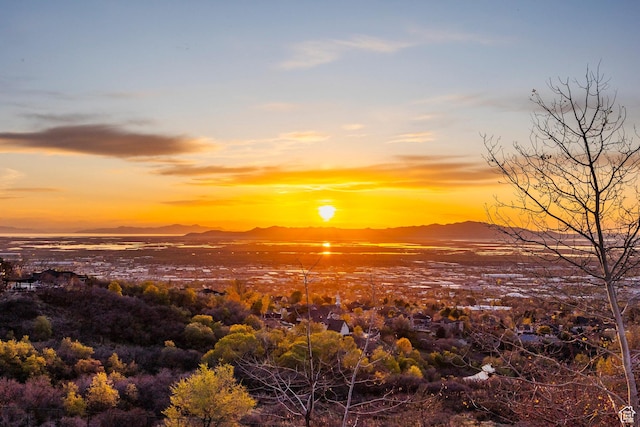 view of local wilderness with a mountain view