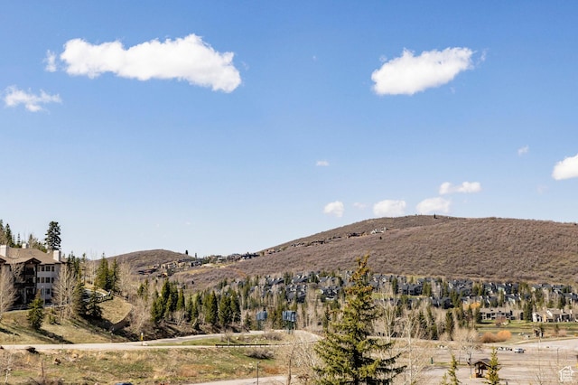 view of mountain feature