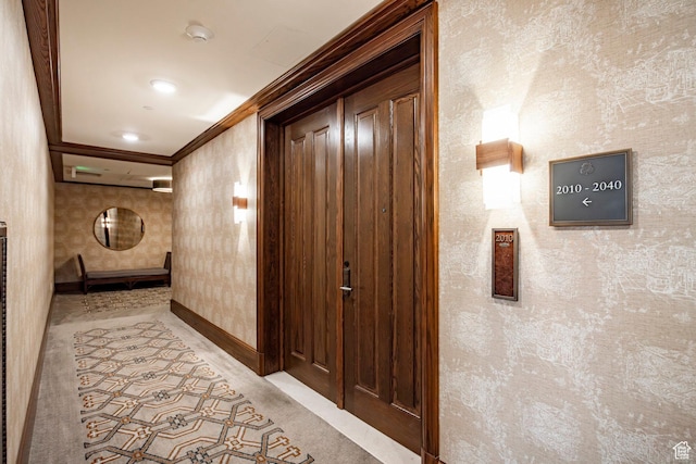 hall with wallpapered walls, baseboards, carpet flooring, and ornamental molding