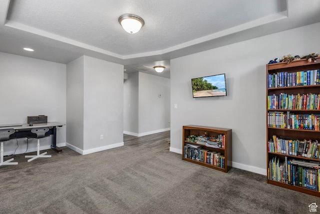 interior space with a raised ceiling, carpet floors, a textured ceiling, and baseboards