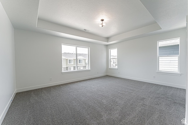3677 W 950 N Unit 219, Lehi, UT 84043 - spare room with a tray ceiling, a textured ceiling, and carpet flooring