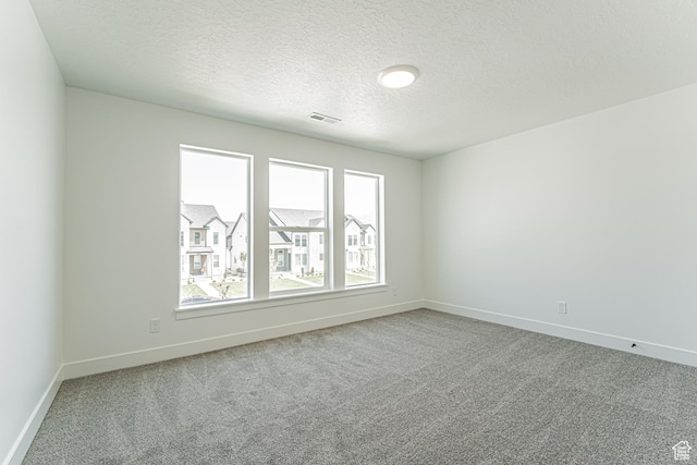 3677 W 950 N Unit 219, Lehi, UT 84043 - empty room featuring carpet and a textured ceiling