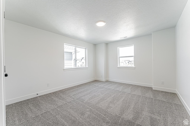 3677 W 950 N Unit 219, Lehi, UT 84043 - empty room with healthy amount of natural light, a textured ceiling, and light carpet