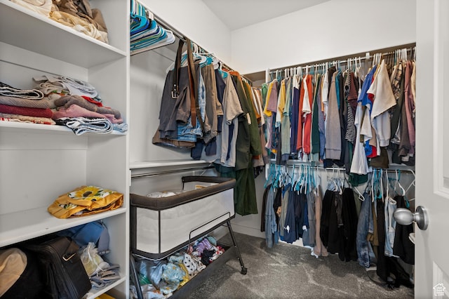 spacious closet featuring carpet