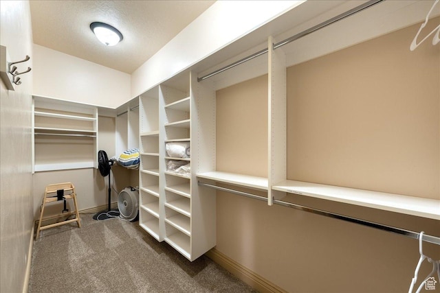 188 N 6680 W Unit 4, Hurricane, UT 84737 - spacious closet with carpet flooring