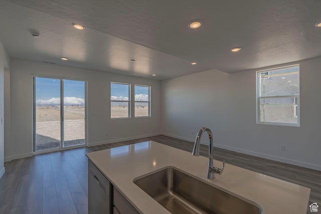 kitchen featuring a sink, open floor plan, dark wood finished floors, dishwasher, and recessed lighting