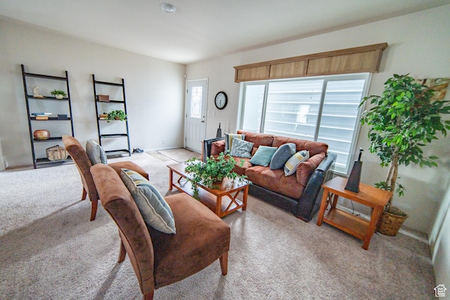 163 Eagle St, Eureka, UT 84628 - living room featuring light colored carpet