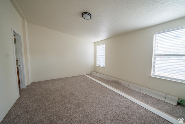 163 Eagle St, Eureka, UT 84628 - spare room featuring a wealth of natural light and carpet floors