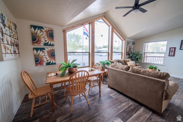 163 Eagle St, Eureka, UT 84628 - living room featuring dark wood finished floors, lofted ceiling, baseboards, a textured ceiling, and ceiling fan
