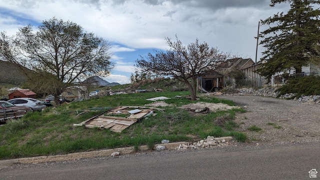 163 Eagle St, Eureka, UT 84628 - view of yard