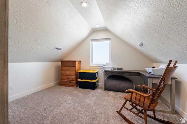 285 W Olympic Ln, Elk Ridge, UT 84651 - interior space with carpet flooring, a textured ceiling, baseboards, visible vents, and lofted ceiling