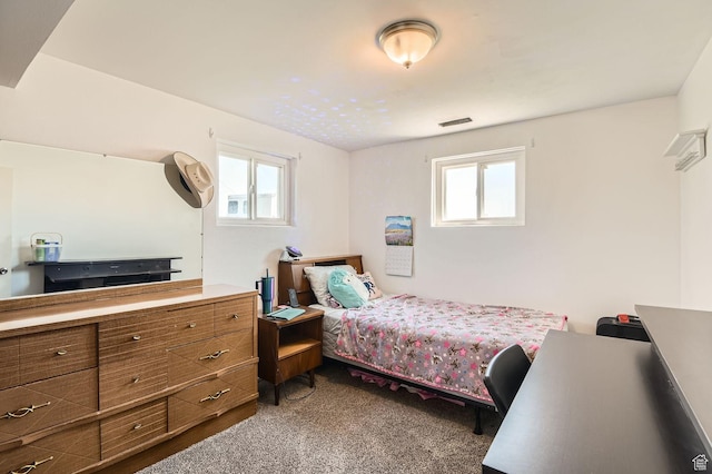115 S 200 E, Cedar Fort, UT 84013 - carpeted bedroom with visible vents and multiple windows