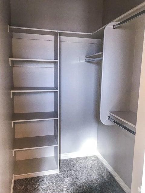 232 W 200 S, Ivins, UT 84738 - spacious closet featuring carpet flooring