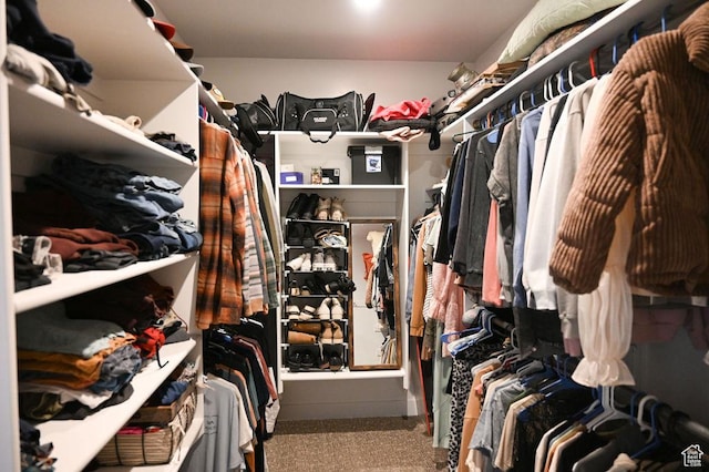 2167 S 560 W, Roosevelt, UT 84066 - spacious closet featuring carpet floors
