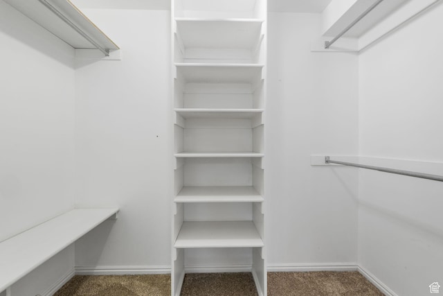 spacious closet featuring carpet flooring