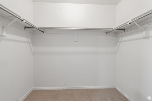 spacious closet featuring light colored carpet