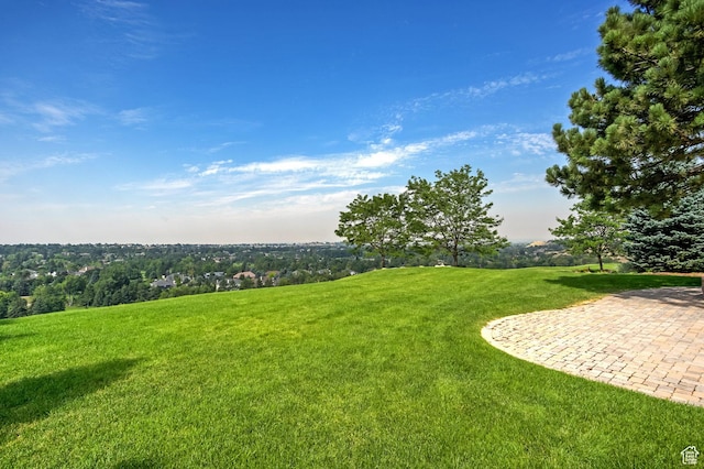 3143 E Bavarian Ct, Cottonwood Heights, UT 84093 - view of yard featuring a patio area