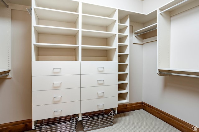 3143 E Bavarian Ct, Cottonwood Heights, UT 84093 - view of spacious closet