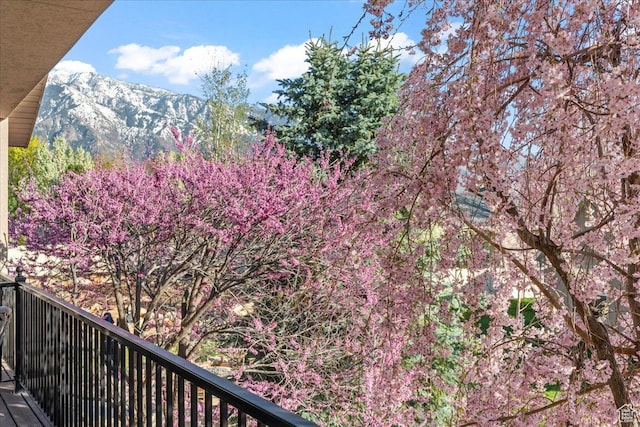 2010 E Rocklin Dr, Sandy, UT 84092 - balcony with a mountain view