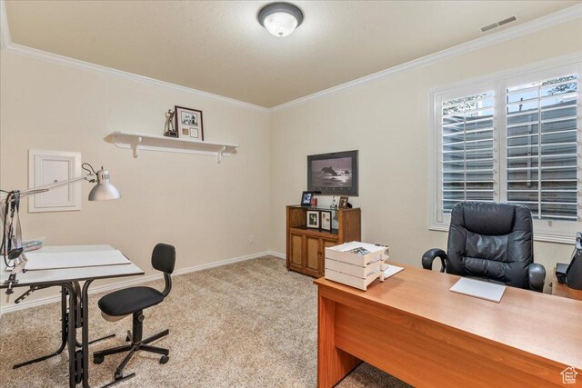 2010 E Rocklin Dr, Sandy, UT 84092 - office space featuring light carpet, baseboards, visible vents, and ornamental molding