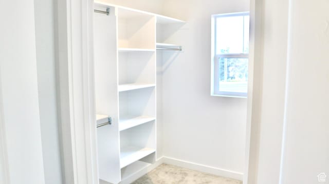 walk in closet with carpet