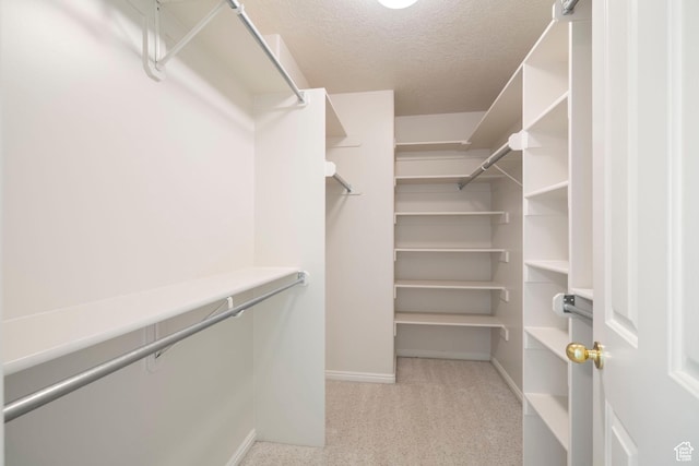 618 W 225 S, Layton, UT 84041 - walk in closet featuring carpet