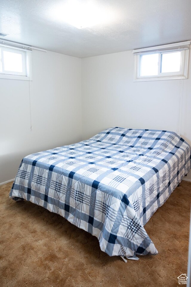 109 S 2nd W, Grace, ID 83241 - carpeted bedroom with baseboards