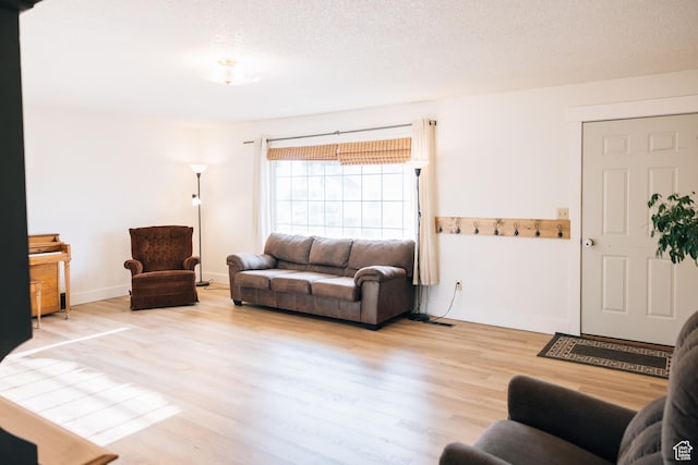 109 S 2nd W, Grace, ID 83241 - living area featuring baseboards and wood finished floors