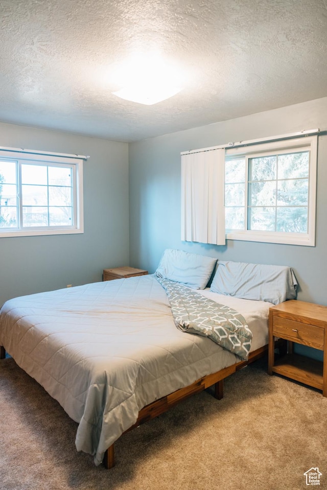 109 S 2nd W, Grace, ID 83241 - bedroom featuring carpet flooring and a textured ceiling