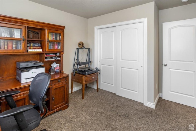 4206 Rose Springs Rd, Erda, UT 84074 - office featuring carpet flooring and baseboards