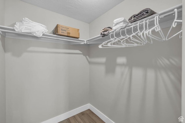 walk in closet with wood finished floors