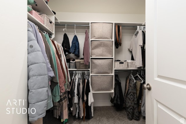 spacious closet with carpet flooring